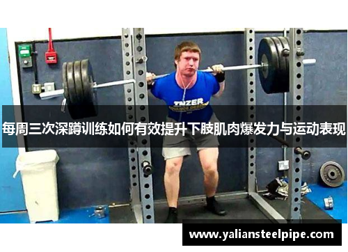 每周三次深蹲训练如何有效提升下肢肌肉爆发力与运动表现