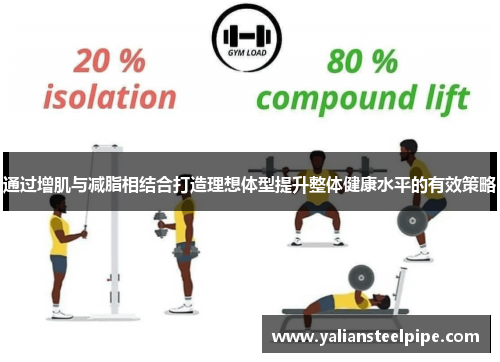 通过增肌与减脂相结合打造理想体型提升整体健康水平的有效策略