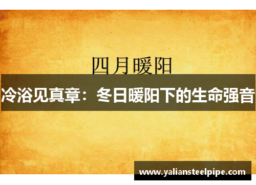 冷浴见真章：冬日暖阳下的生命强音