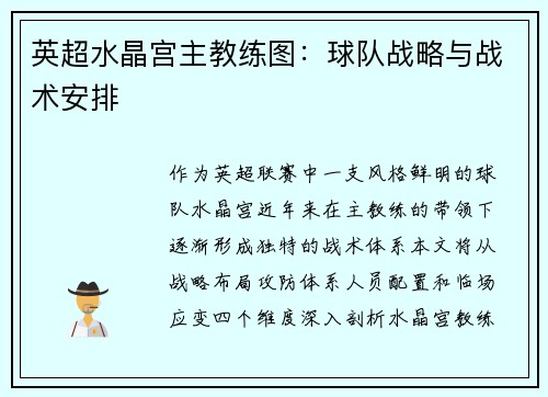 英超水晶宫主教练图：球队战略与战术安排